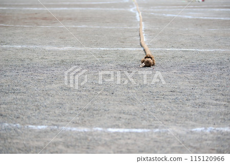 A rope with a citation for the flag placed on the ground 115120966