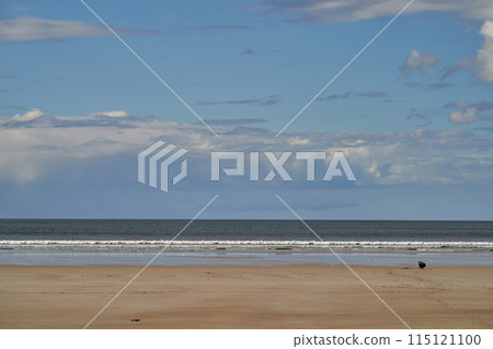 People running playing relaxing on the beach People running playing relaxing on the beach 115121100