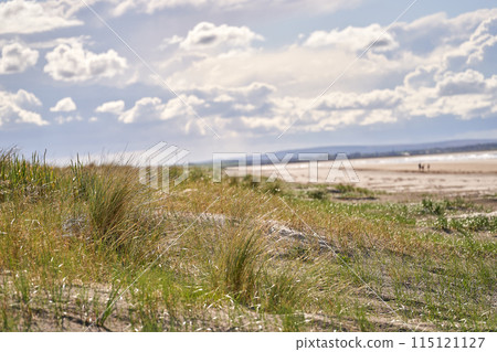 Atlantic ocean beach dunes sand Atlantic ocean beach dunes sand 115121127