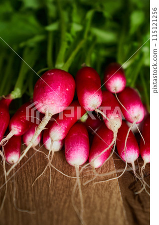 fresh radish on table close up 115121256