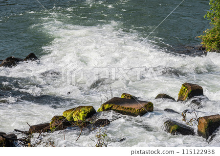 Flowing from Misuaraseki Weir to the Uji River, Fushimi Ward, Kyoto City 115122938
