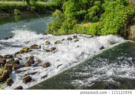京都會伏見區密砂井堰至宇治川的水流 115122939