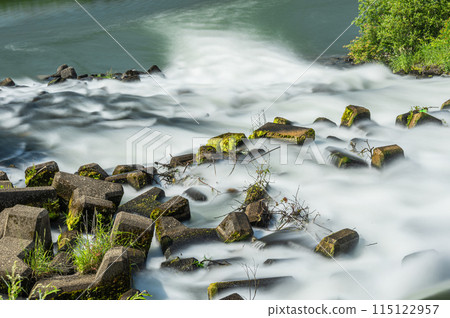 京都會伏見區密砂井堰至宇治川的水流 115122957