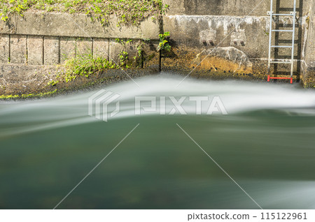 京都會伏見區密砂井堰至宇治川的水流 115122961