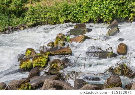 京都會伏見區密砂井堰至宇治川的水流 115122975