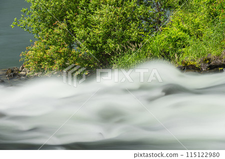 京都會伏見區密砂井堰至宇治川的水流 115122980