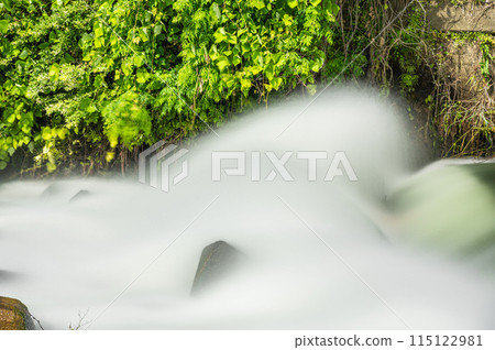 京都會伏見區密砂井堰至宇治川的水流 115122981