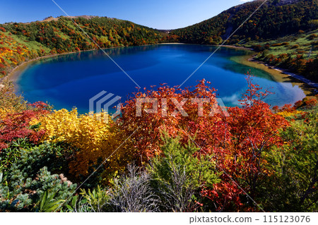 Autumn foliage at the Agatsuma Mountain Range and Goshiki-numa 115123076