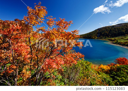 Autumn foliage at the Agatsuma Mountain Range and Goshiki-numa 115123083