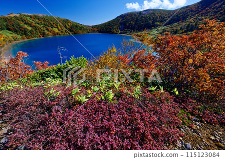 Autumn foliage at the Agatsuma Mountain Range and Goshiki-numa 115123084