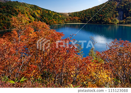 Autumn foliage at the Agatsuma Mountain Range and Goshiki-numa 115123088