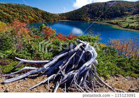 東山脈和五色沼的紅葉風景 東山脈和五色沼的紅葉風景 115123091