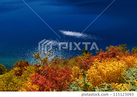 Autumn foliage at the Agatsuma Mountain Range and Goshiki-numa Autumn foliage at the Agatsuma Mountain Range and Goshiki-numa 115123093