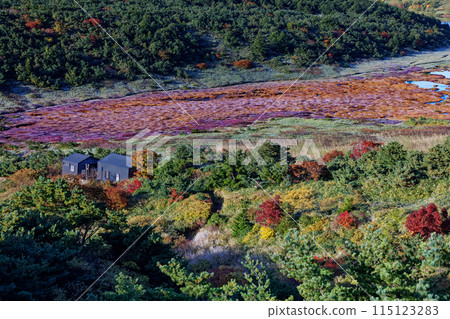 Autumn foliage at the Azuma Mountain Range, Sugahira and the Sugahira Shelter 115123283