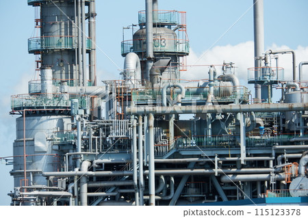 Complex plant 115123378