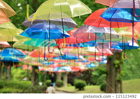 Colorful sky umbrellas at Kanramachi Park Colorful sky umbrellas at Kanramachi Park 115123492