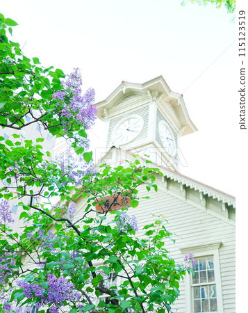 Spring in Hokkaido: Lilacs and the Sapporo Clock Tower Spring in Hokkaido: Lilacs and the Sapporo Clock Tower 115123519