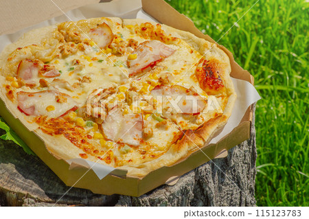 Pizza with bacon, chicken, corn on the background of green grass. 115123783