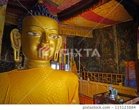 印度北部小西藏拉達克謝伊宮的大佛 115123884