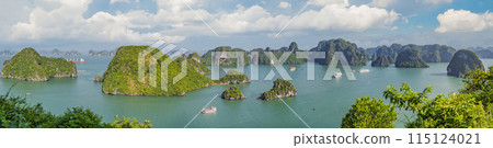 Picturesque sea landscape. Ha Long Bay, Vietnam 115124021