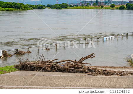 大阪府枚方市因大雨而水位暴漲的淀川 115124352