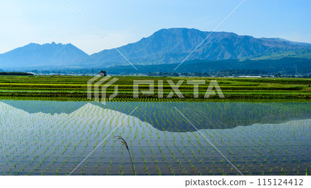 春光明媚的阿蘇山（阿蘇五山）的倒影風景（插秧後的素材）（阿蘇市牧木） 115124412