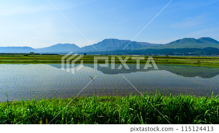 春光明媚的阿蘇山（阿蘇五山）的倒影風景（插秧後的素材）（阿蘇市牧木） 115124413