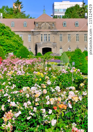 Sapporo City Museum and Sunk Garden Sapporo City Museum and Sunk Garden 115124429