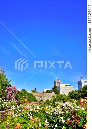 Sapporo City Museum and Sunk Garden 115124441