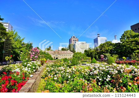 札幌市博物館和五漁業 115124443