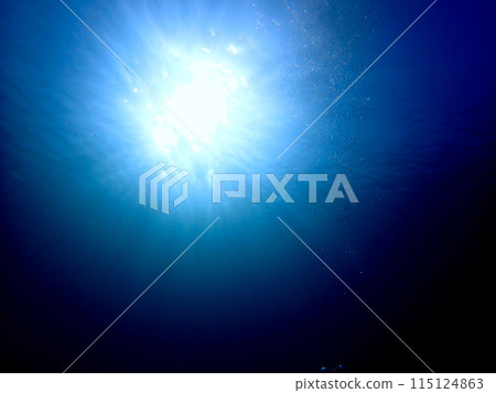 Sunlight reaching the ocean Sunlight reaching the ocean 115124863