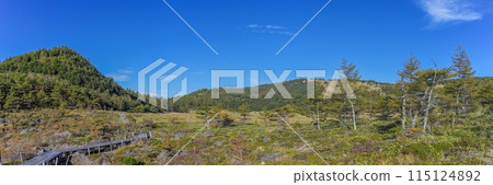 Panoramic autumn view of Ikenodaira Marshland against a blue sky 115124892