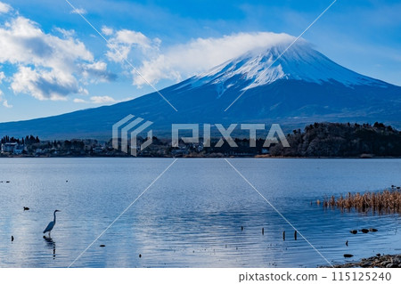 富士山和蒼鷺 115125240