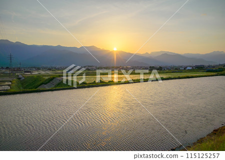 Rice fields shining in the sunset [Ikeda Town, Kitaazumi District] 115125257