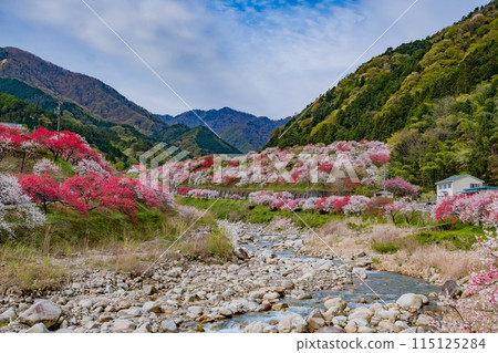 Hanamo no Sato 115125284