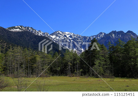 Fresh greenery in Kamikochi: Hotaka mountain range and Tashiro marshland 115125451
