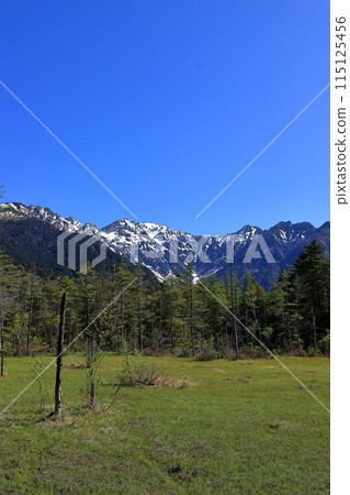 Fresh greenery in Kamikochi: Hotaka mountain range and Tashiro marshland 115125456