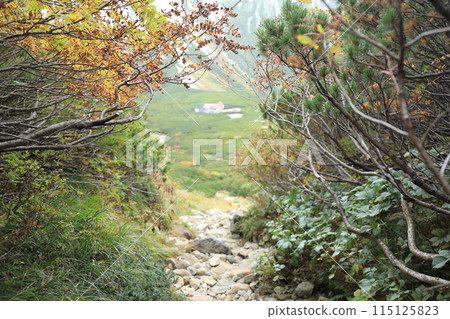 從北阿爾卑斯山的三俁蓮華嶽山路到三俁山莊【9月】 從北阿爾卑斯山的三俁蓮華嶽山路到三俁山莊【9月】 115125823