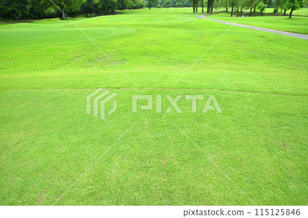 A deserted golf course in lush early summer green A deserted golf course in lush early summer green 115125846