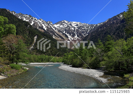 從河童橋眺望上高地的新綠色、穗高山脈和梓川 115125985