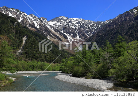 Fresh greenery in Kamikochi: The Hotaka mountain range and Azusa River as seen from Kappa Bridge 115125988