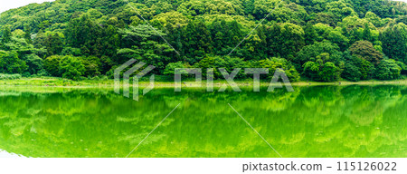 Fresh green Suwa pond panorama [Unzen City, Nagasaki Prefecture] 115126022