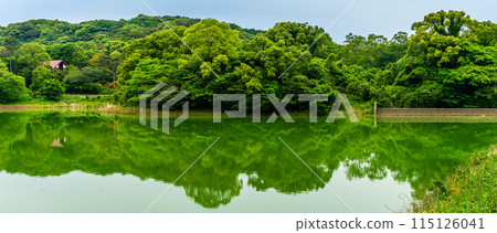 Fresh green Suwa pond panorama [Unzen City, Nagasaki Prefecture] 115126041