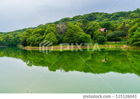 Fresh green Suwa pond [Unzen City, Nagasaki Prefecture] 115126043