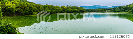 新鮮的綠色Su訪池塘全景[長崎縣雲仙市] 115126075