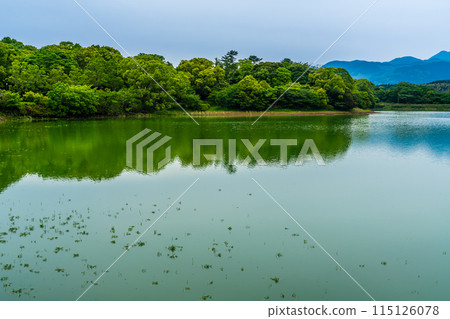 Fresh green Suwa pond [Unzen City, Nagasaki Prefecture] 115126078