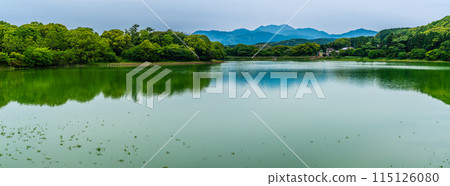 Fresh green Suwa pond panorama [Unzen City, Nagasaki Prefecture] 115126080
