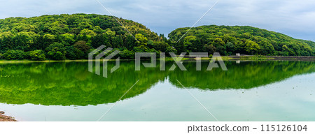 Fresh green Suwa pond panorama [Unzen City, Nagasaki Prefecture] 115126104