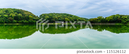 Fresh green Suwa pond panorama [Unzen City, Nagasaki Prefecture] 115126112