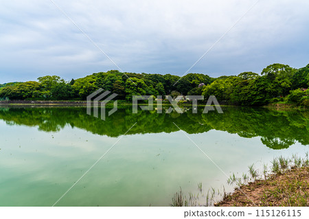 Fresh green Suwa pond [Unzen City, Nagasaki Prefecture] 115126115